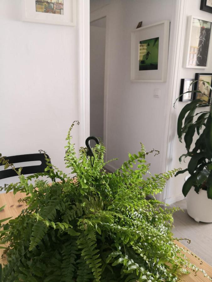 My Quiet House Apartment Malaga Exterior photo