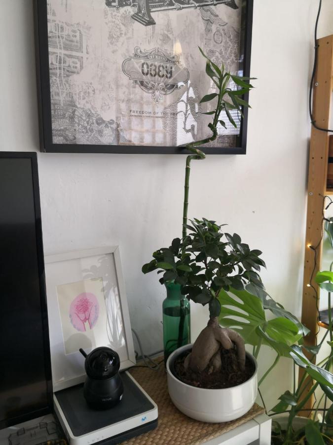 My Quiet House Apartment Malaga Exterior photo